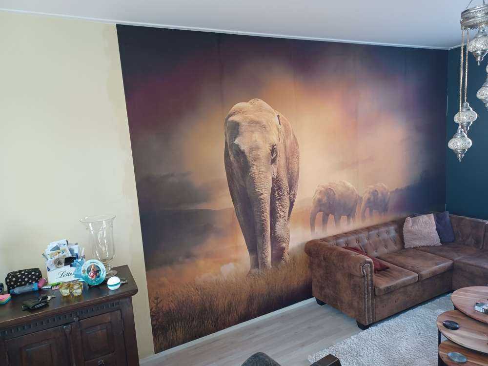Trois éléphants