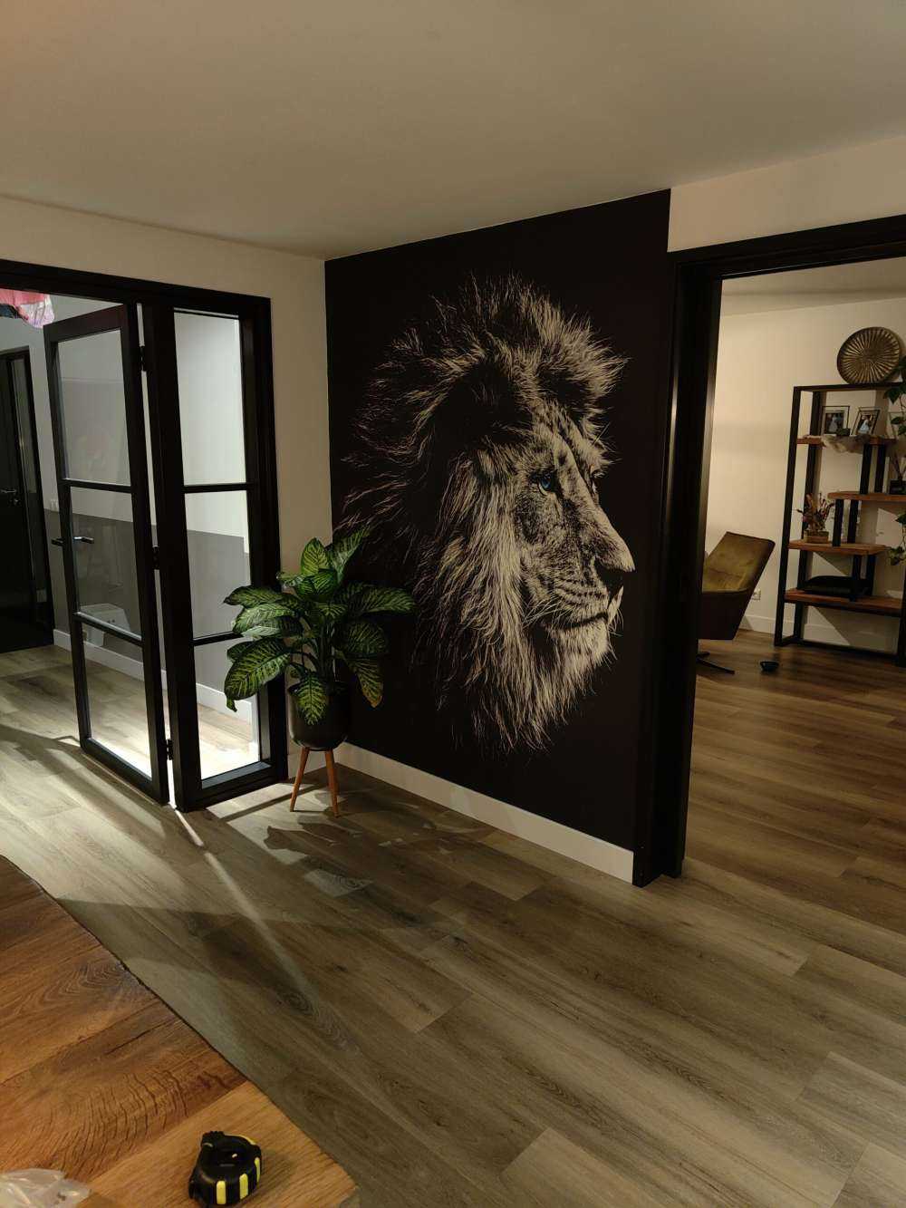 Lion aux yeux bleus