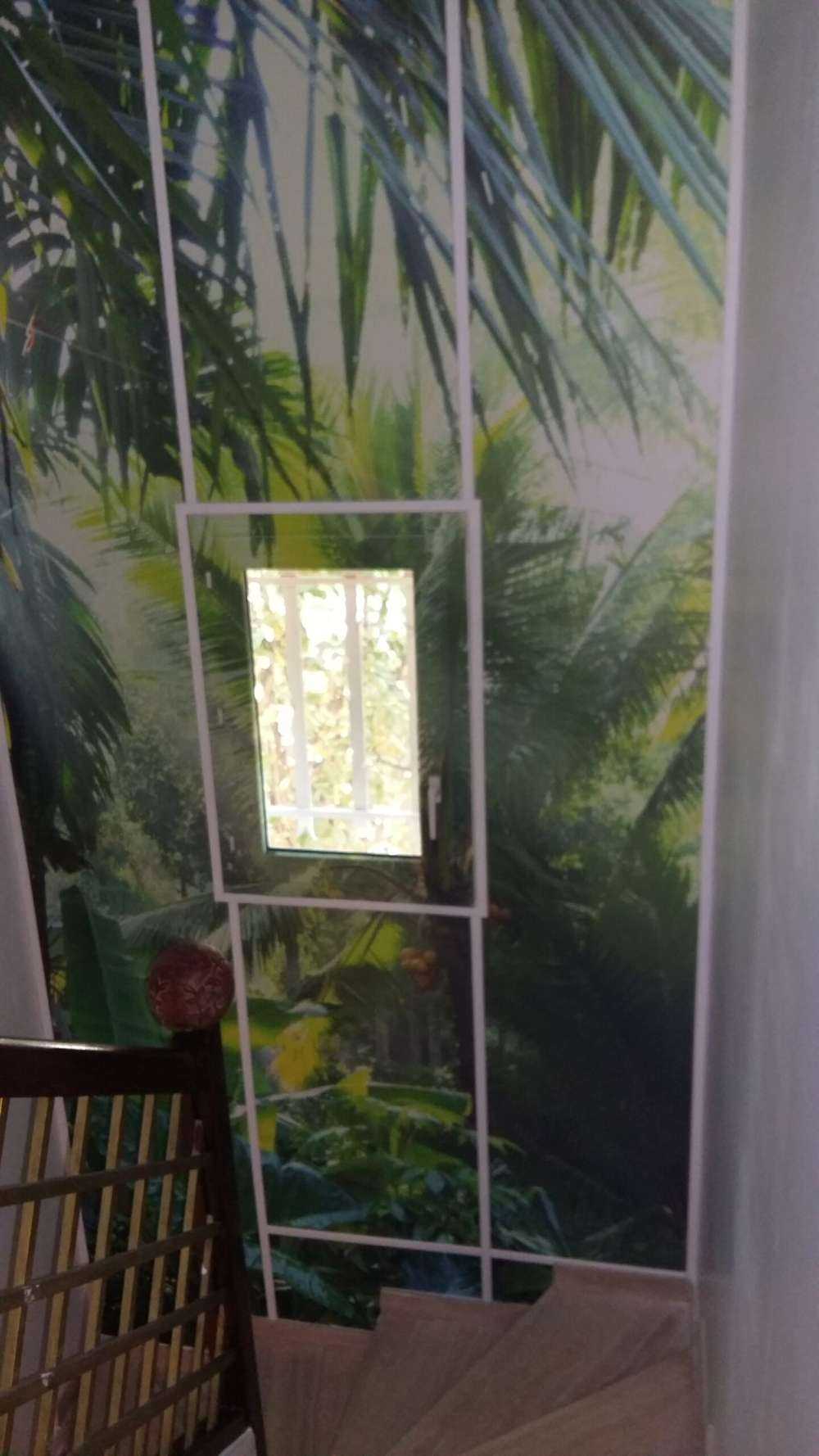 Dans la forêt tropicale