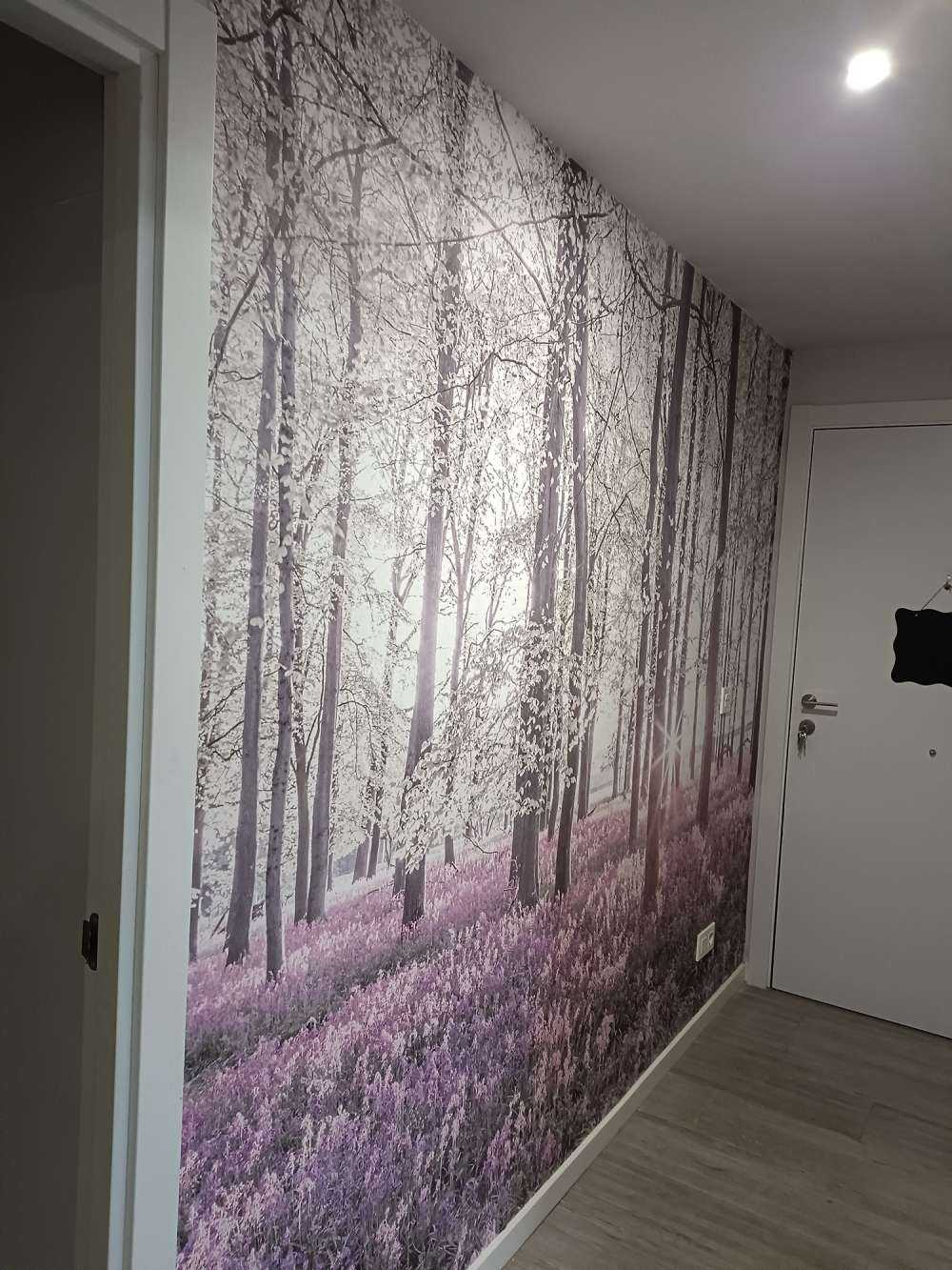 Forêt au printemps
