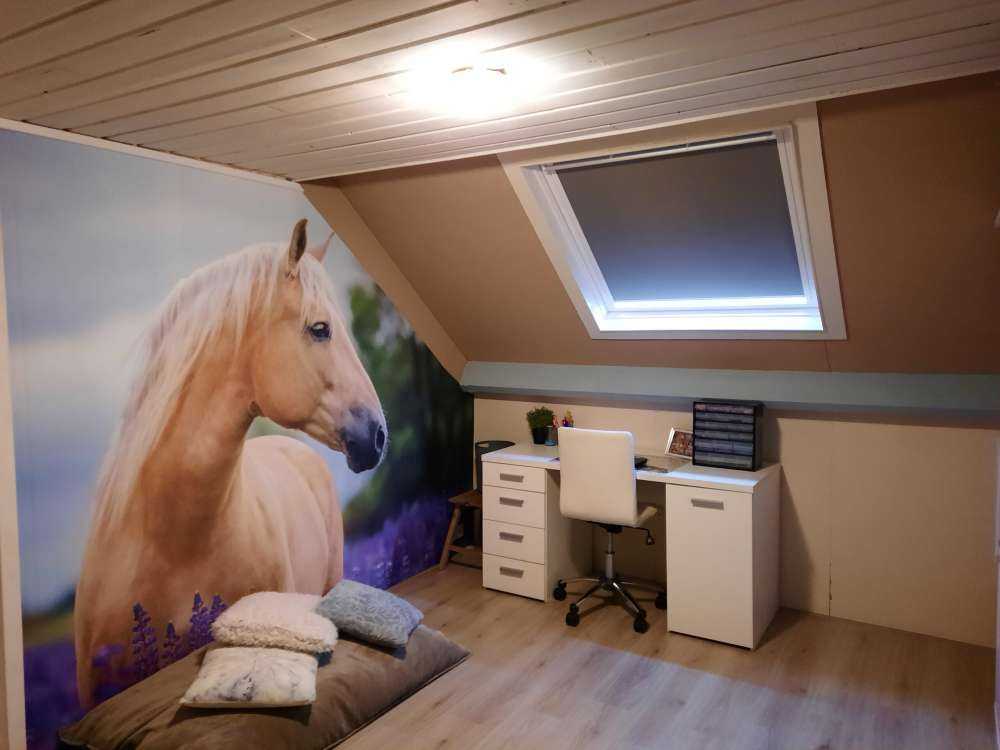 Cheval parmi les fleurs de papillon