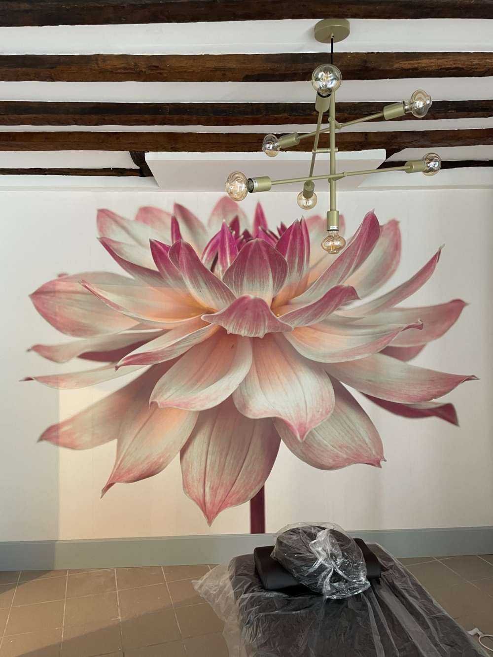 Fleur de dahlia