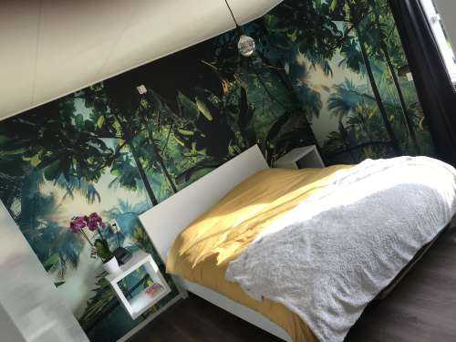 Une jungle mystérieuse