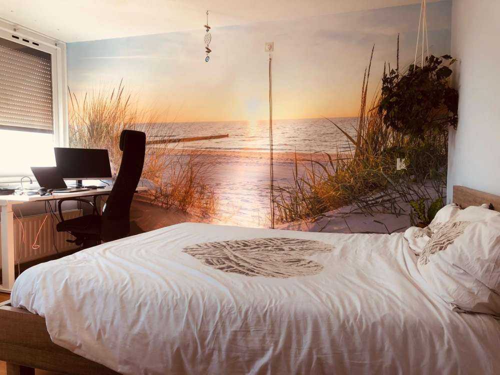 Plage de dunes avec coucher de soleil