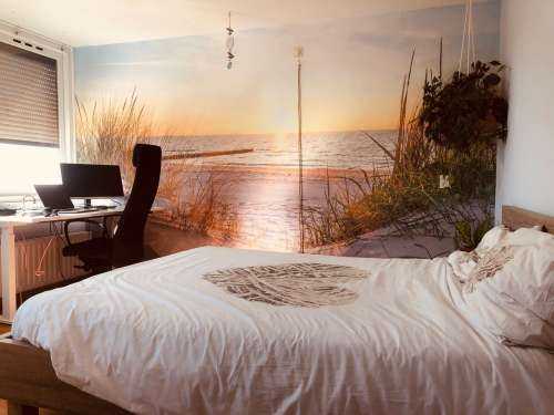 Plage de dunes avec coucher de soleil