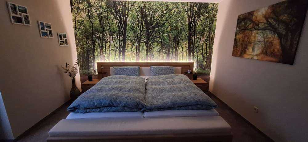 Forêt luxuriante