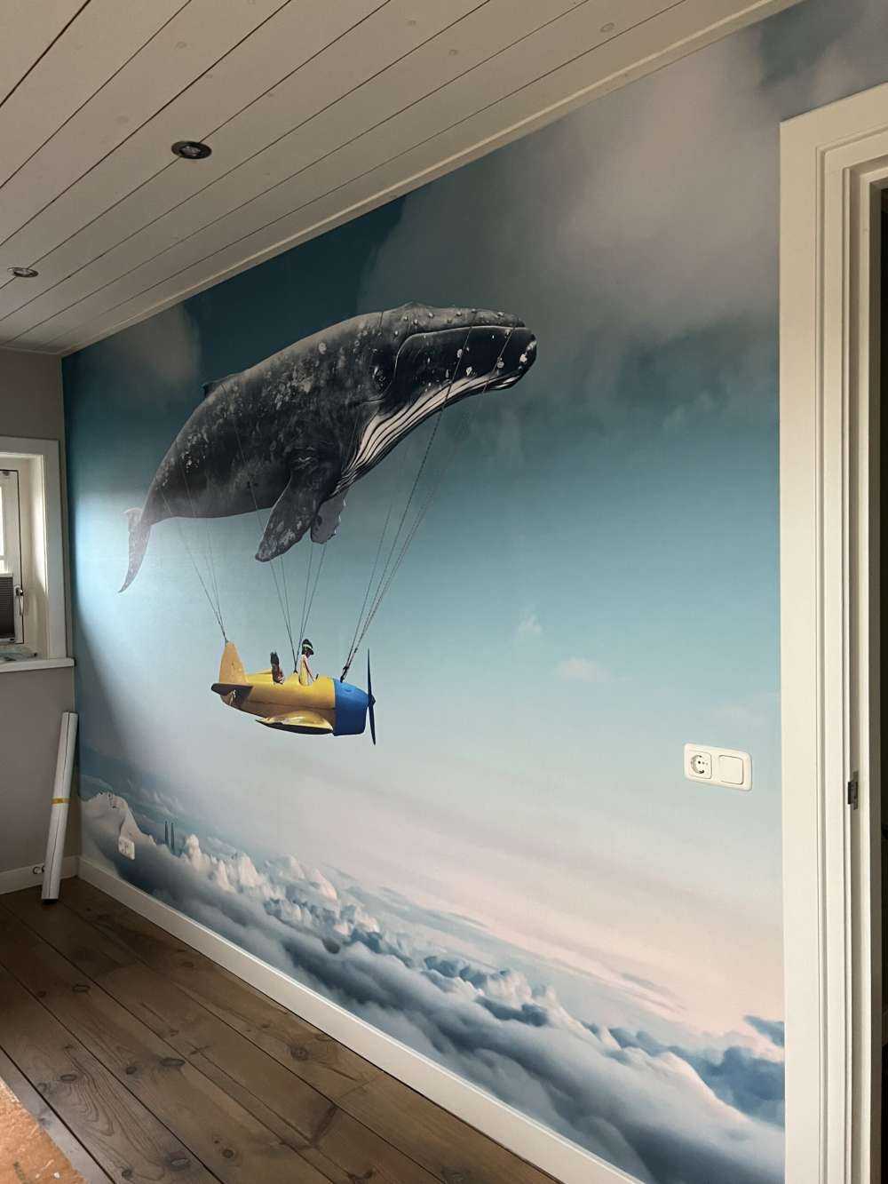 Rorqual volant