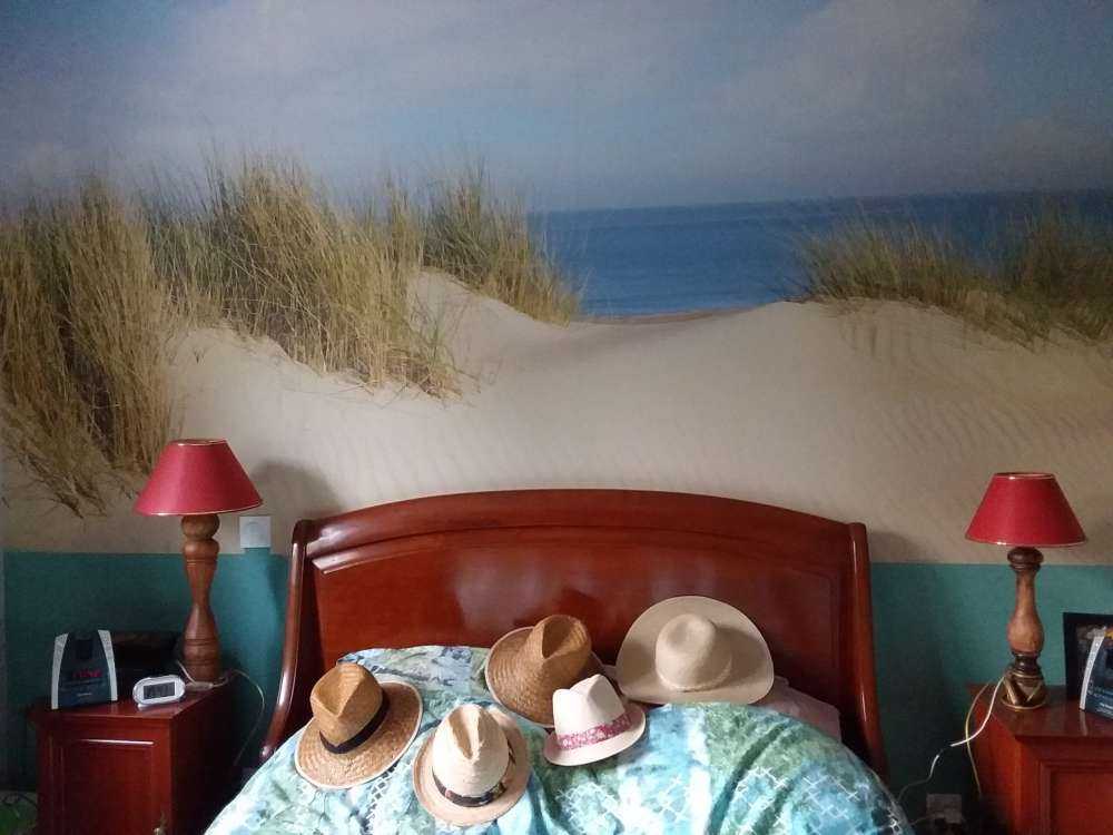 Passage des dunes vers la plage