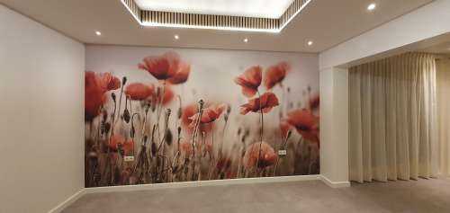 Des coquelicots de rêve
