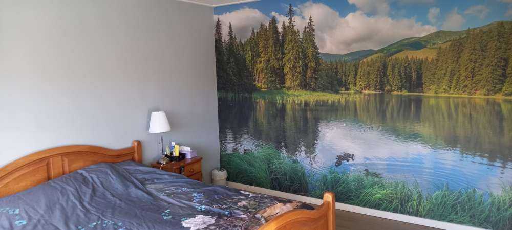 Lac dans la forêt