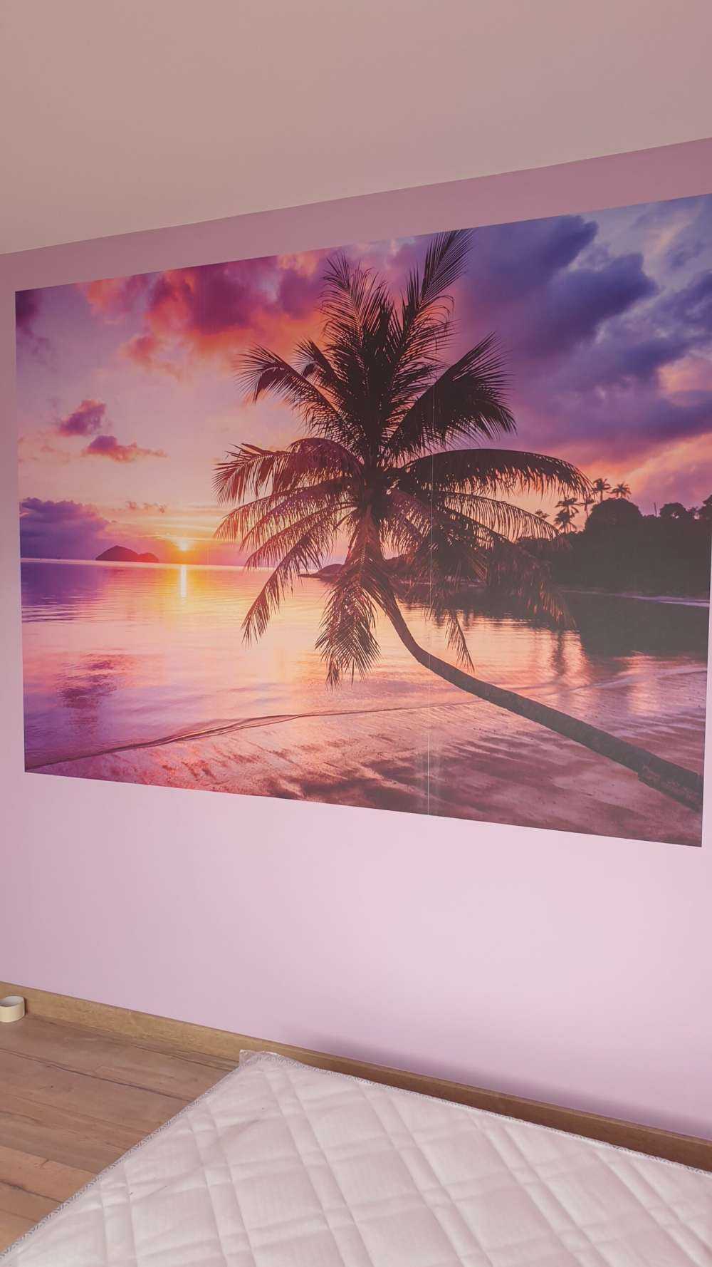 Palmier au coucher du soleil