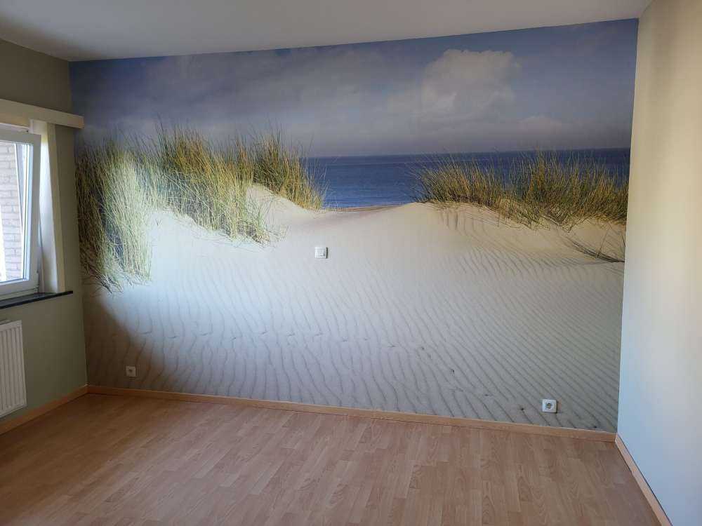 Passage des dunes vers la plage