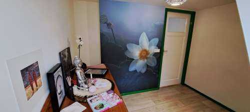 Fantasy Lotus