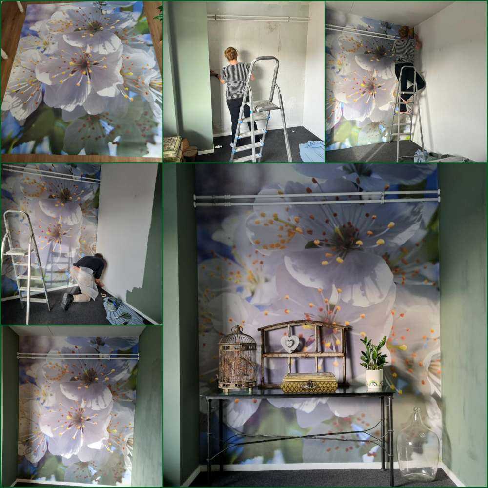 Gros plan sur des fleurs blanches