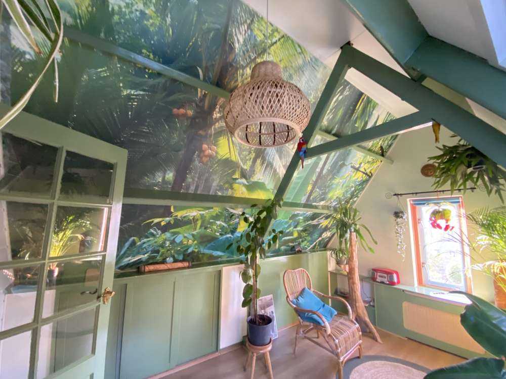 Dans la forêt tropicale
