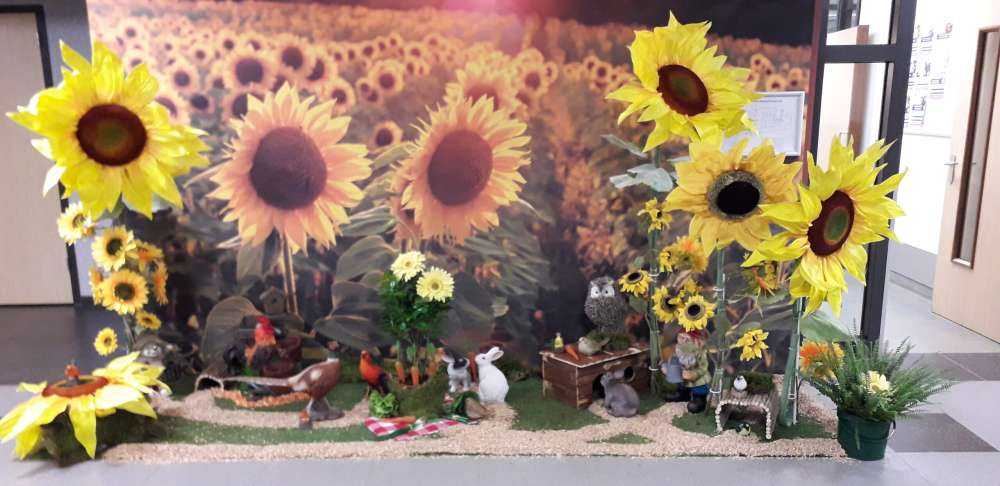 Ferme de tournesols