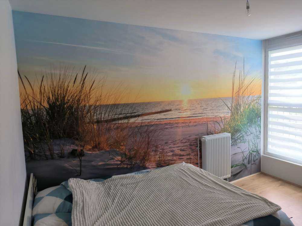 Plage de dunes avec coucher de soleil