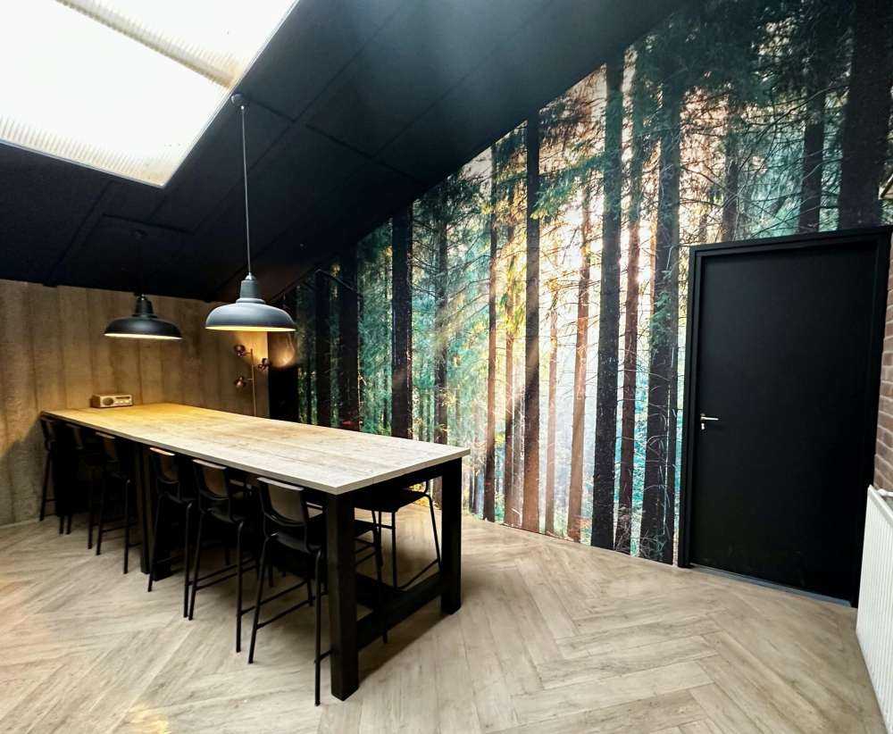 Une forêt tranquille