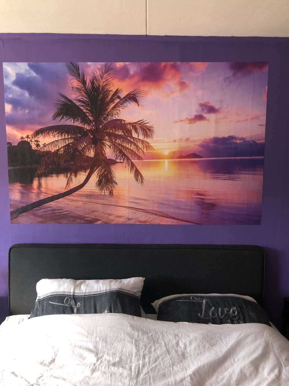 Palmier au coucher du soleil