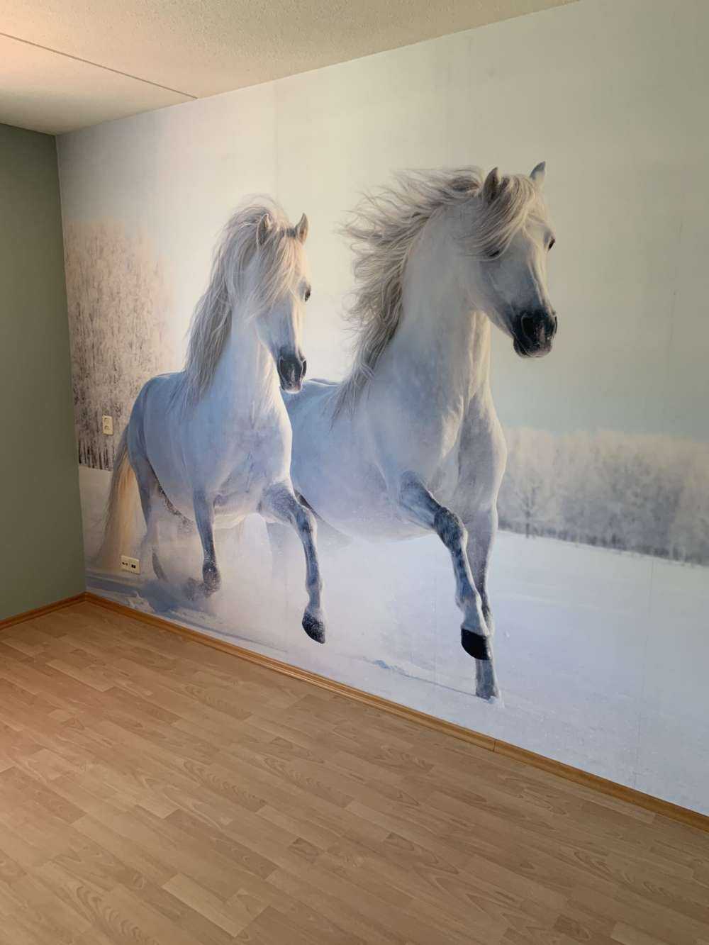 Chevaux dans la neige
