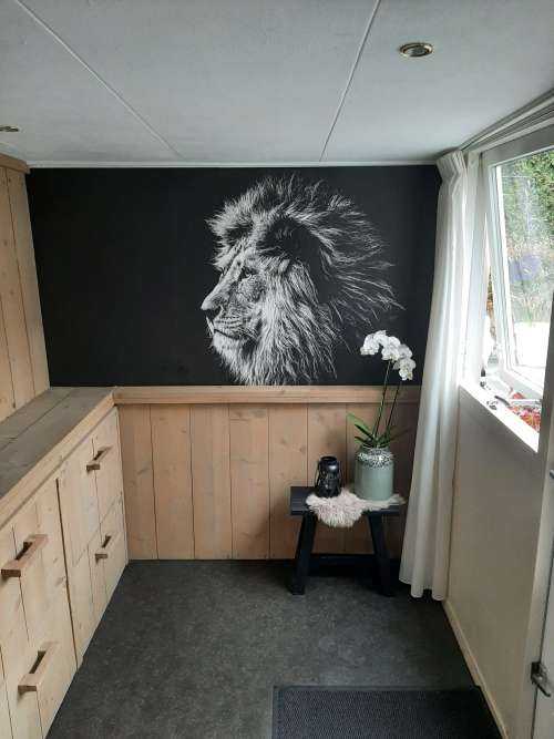 Lion aux yeux bleus