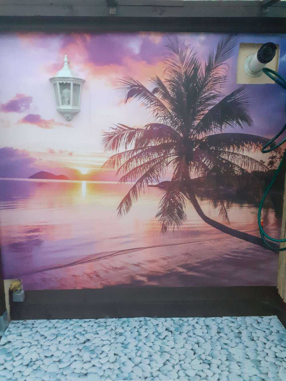 Palmier au coucher du soleil