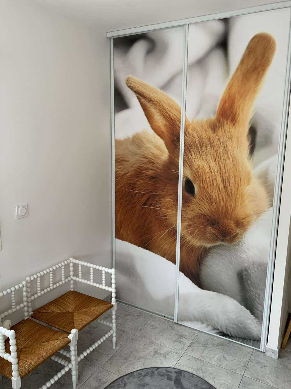 Lapin brun