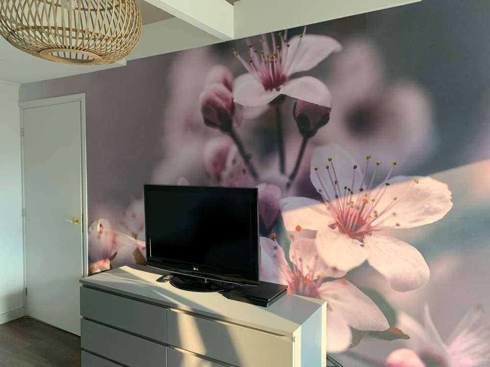 Fleur de printemps