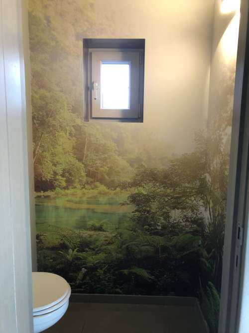 Lac dans la jungle
