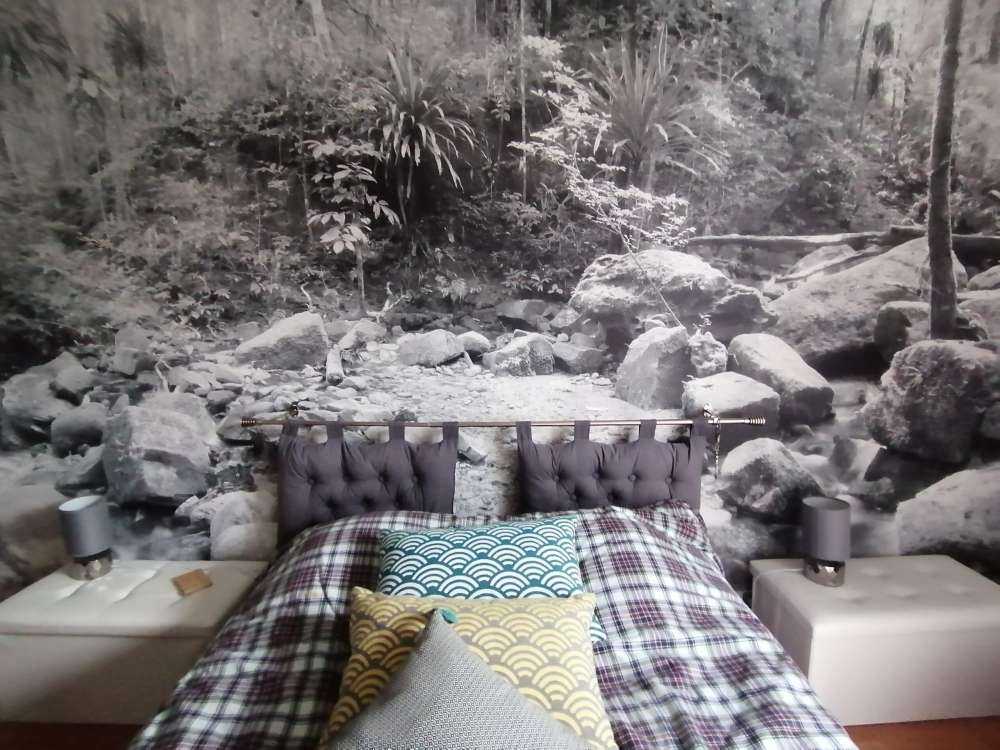 Forêt tropical