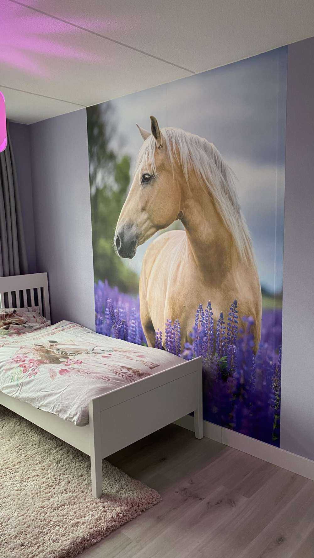 Cheval parmi les fleurs de papillon