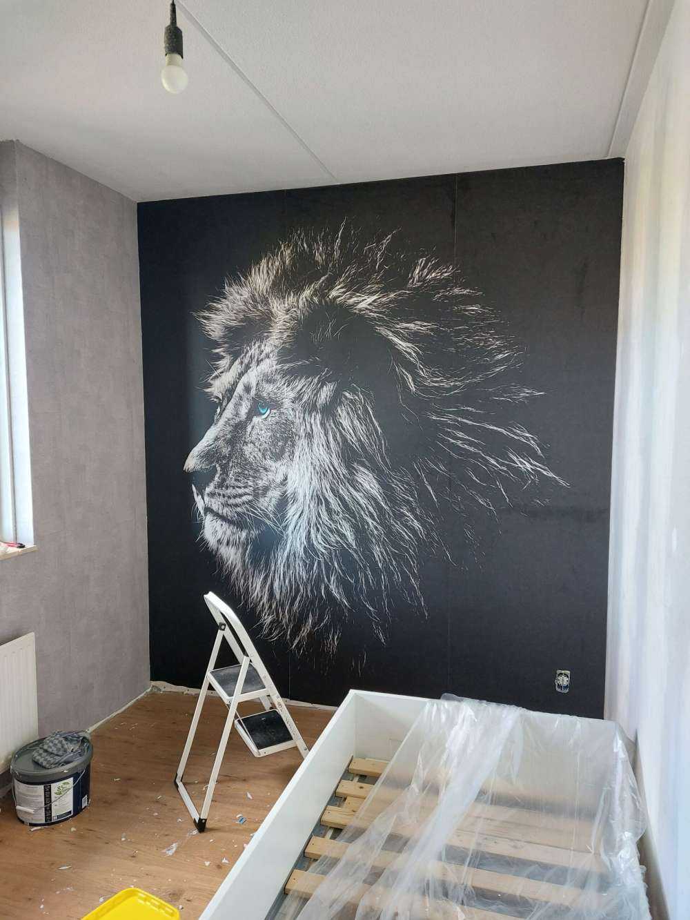 Lion aux yeux bleus