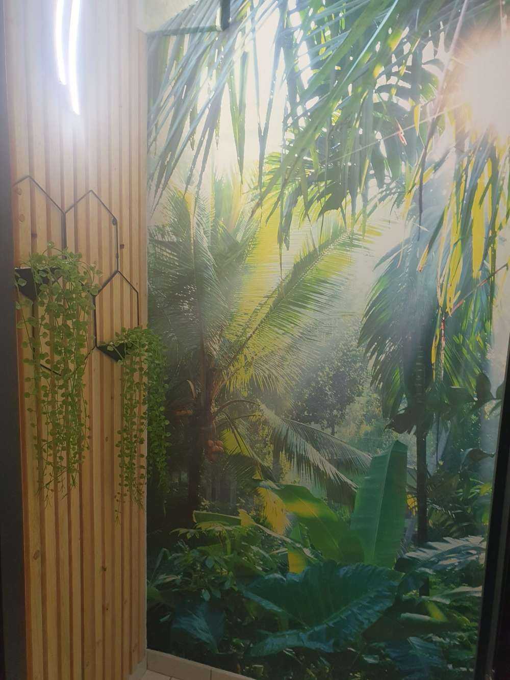 Dans la forêt tropicale