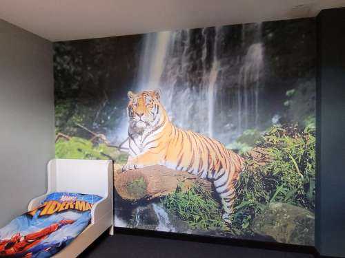 Tigre dans la jungle