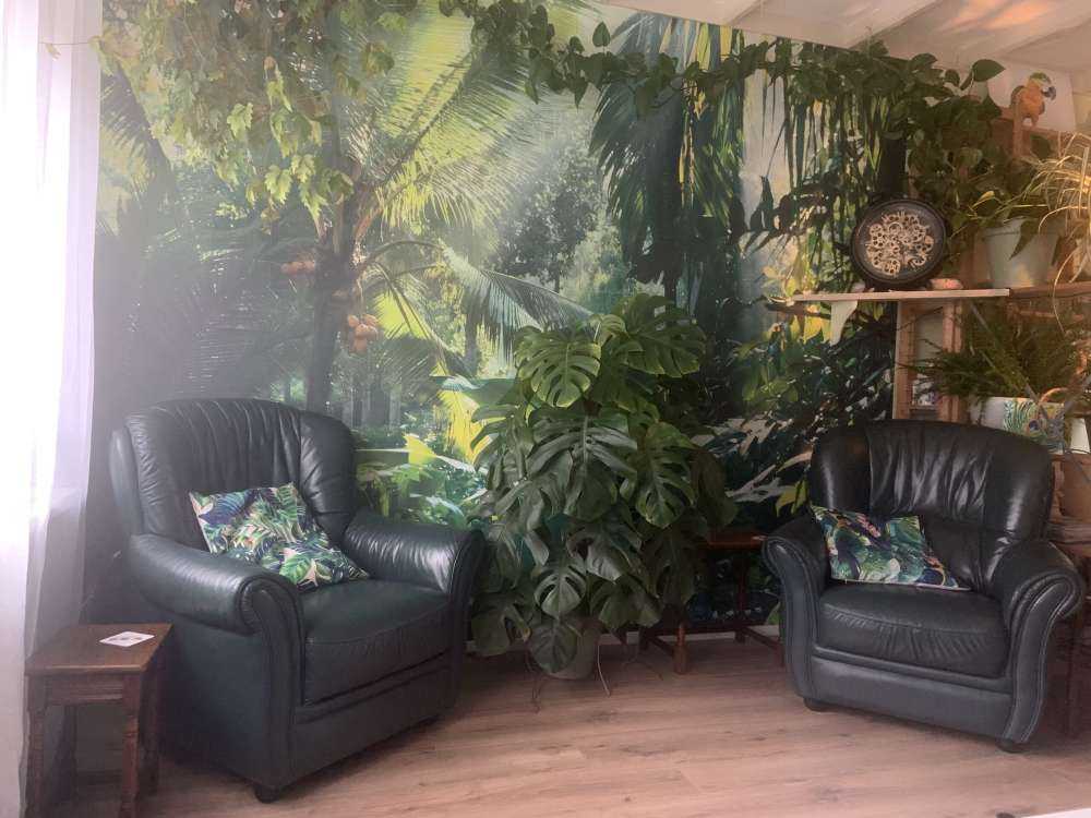 Dans la forêt tropicale