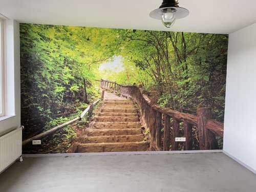 Escalier en forêt