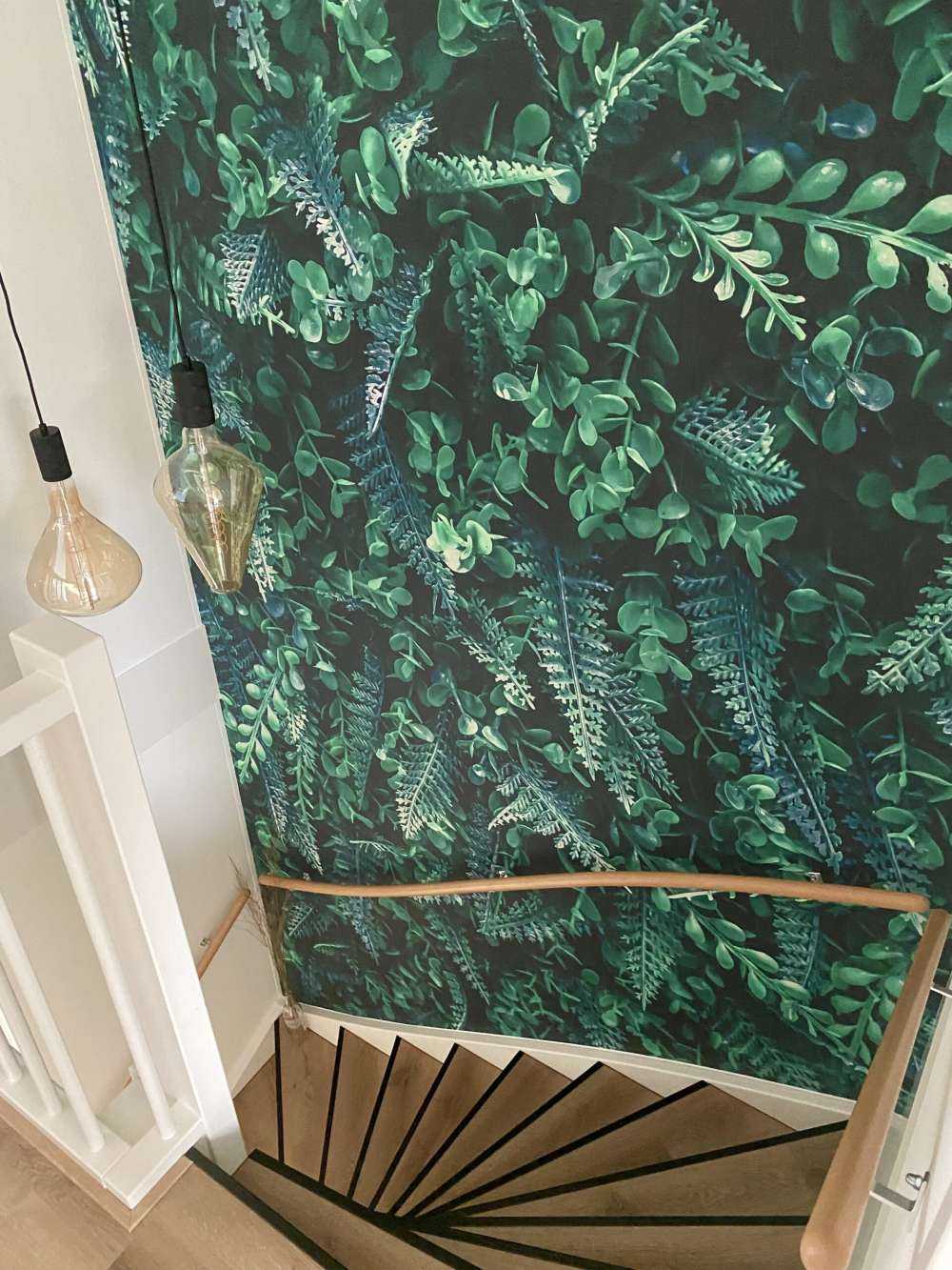 Mur tropical