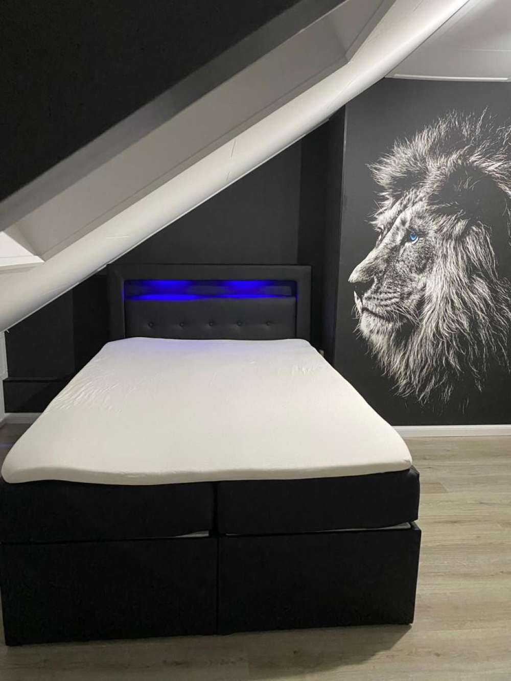 Lion aux yeux bleus