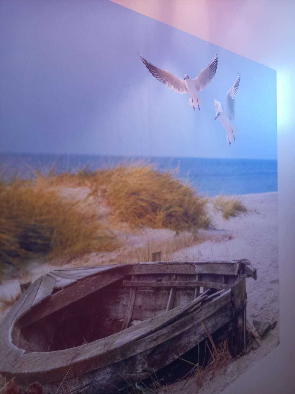 Ancien bateau de pêche, mouettes, plage et mer