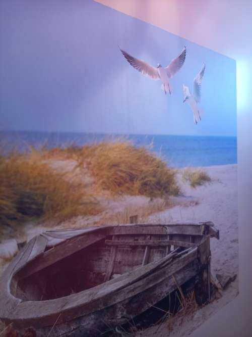 Ancien bateau de pêche, mouettes, plage et mer