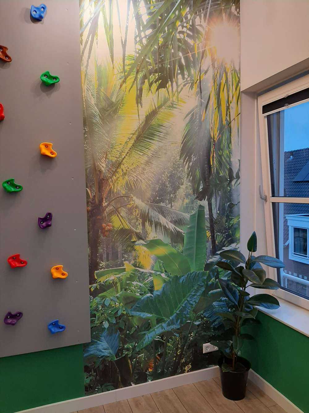 Dans la forêt tropicale