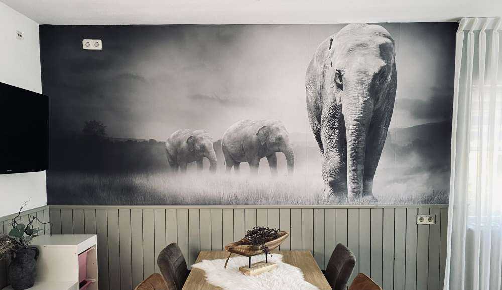 Trois éléphants