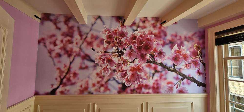 Gros plan sur la fleur rose