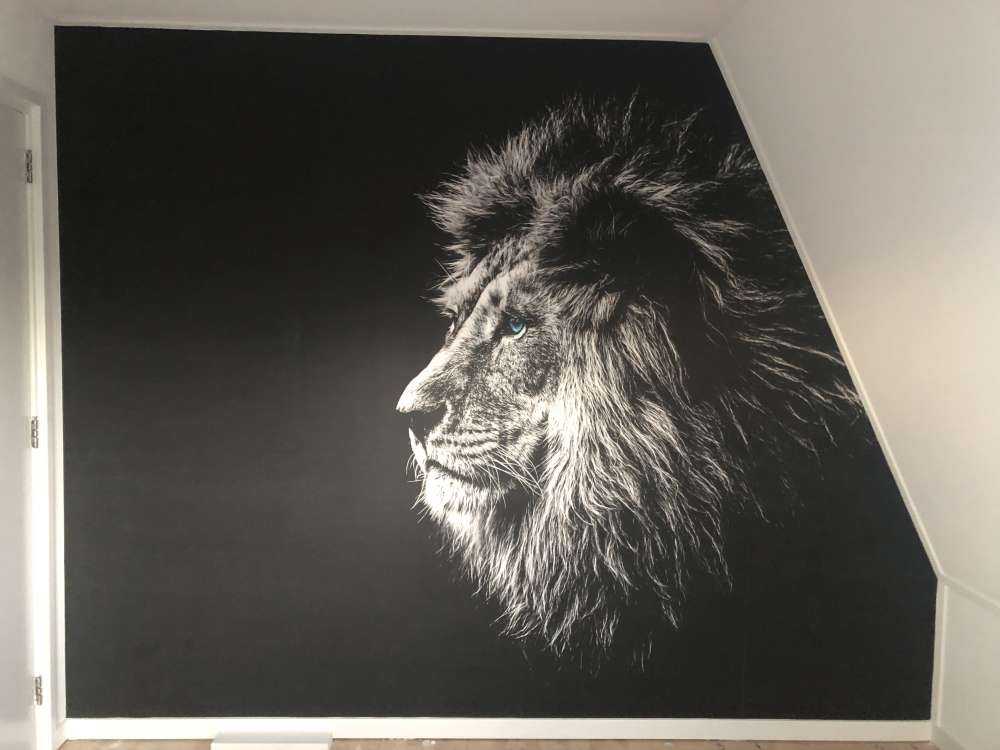 Lion aux yeux bleus