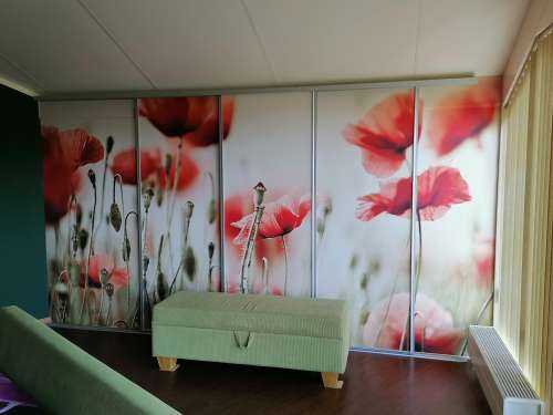 Des coquelicots de rêve
