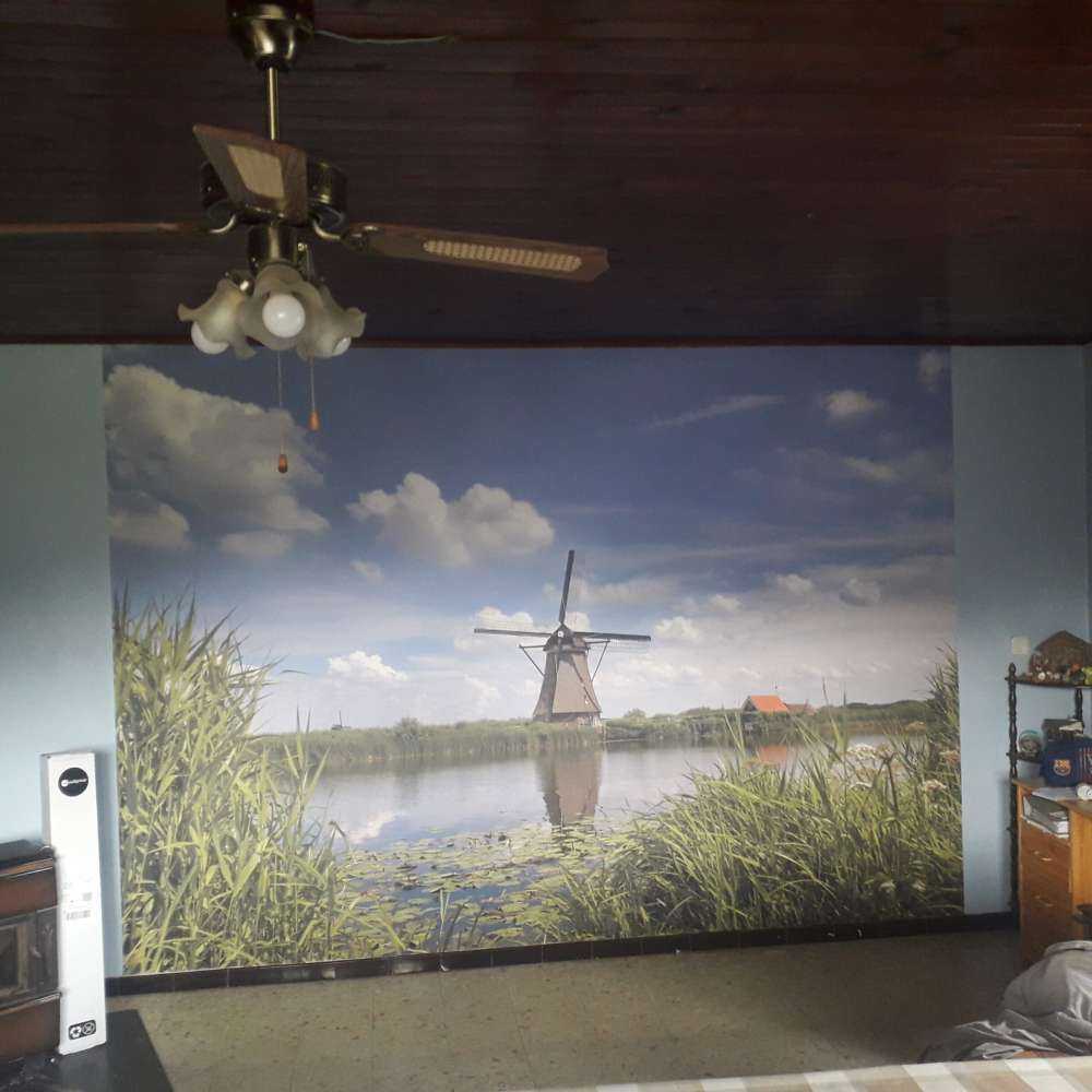 Moulin
