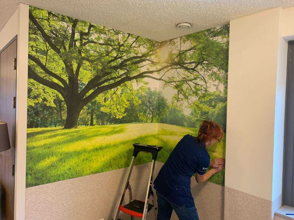 Bel arbre avec de l'herbe verte