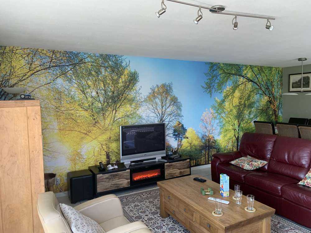 Paysage printanier