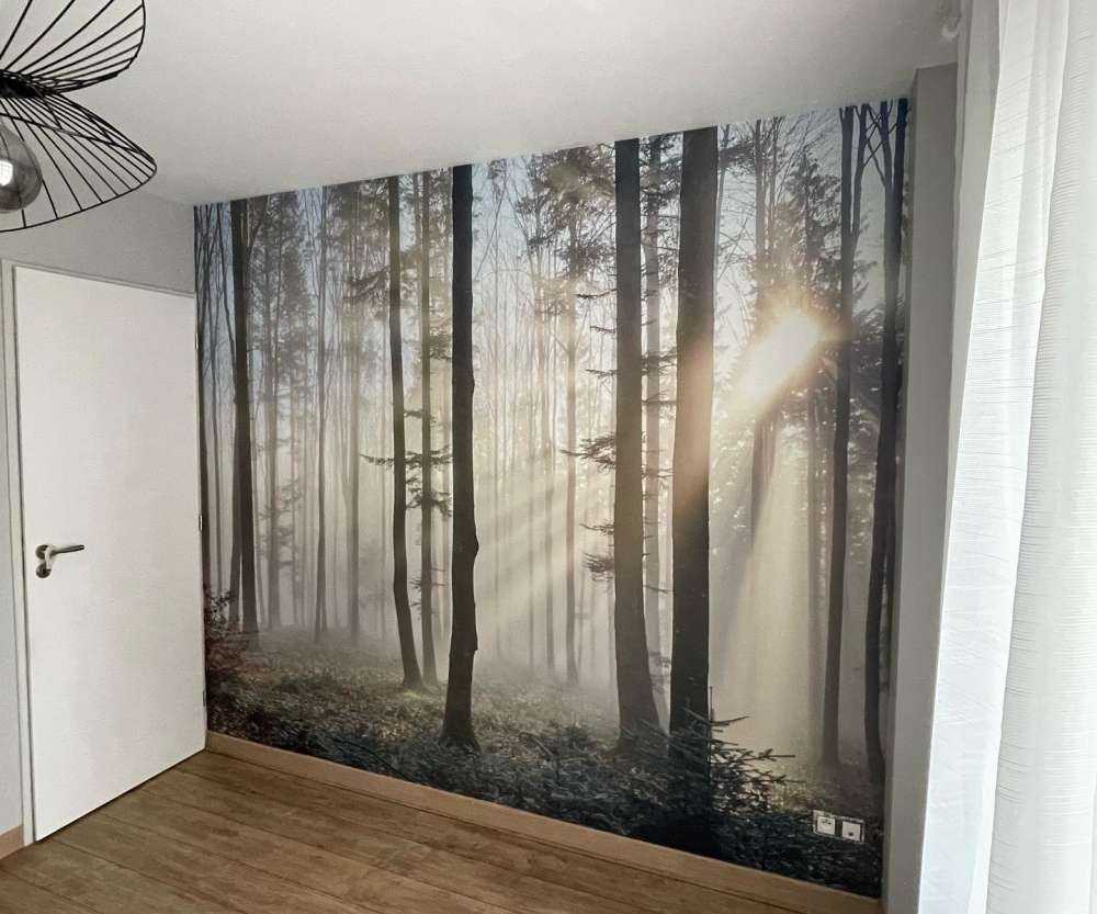 Forêt brumeuse