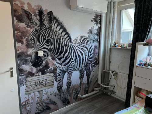 Bébé zèbre dans la nature taupe